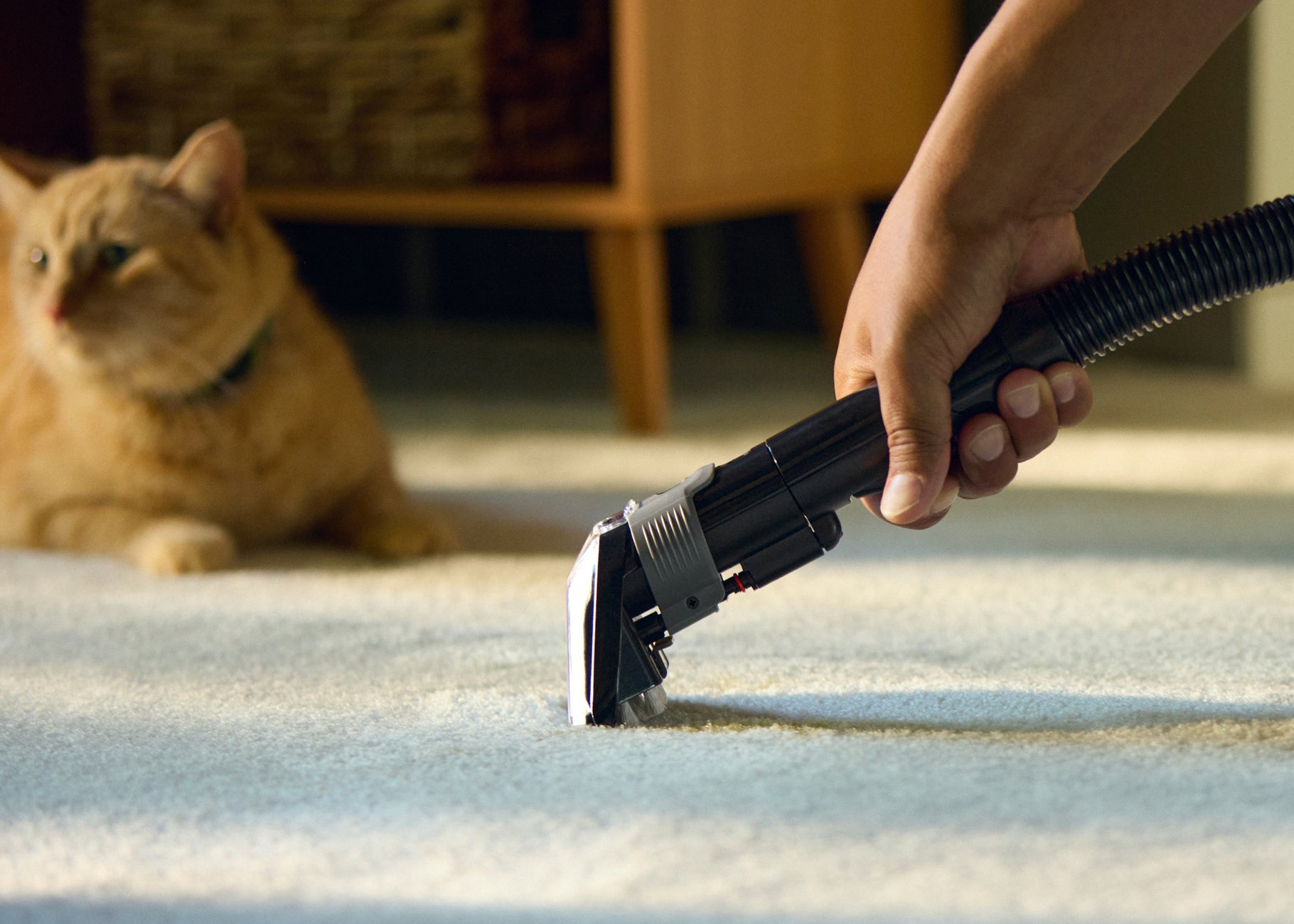 Little Green Pet Pro hose with attachment cleaning stain on carpet