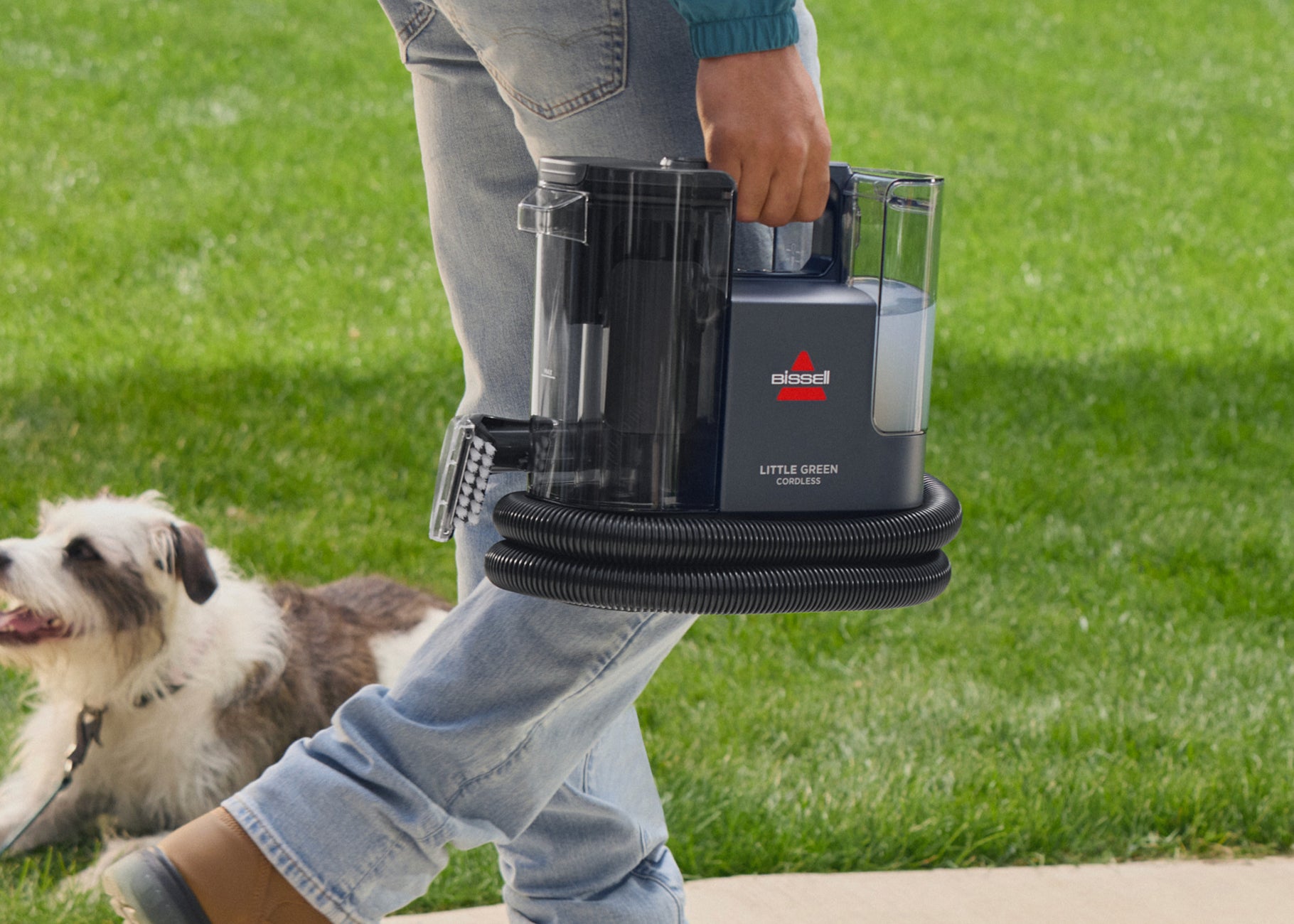 Carrying Little Green Cordless Portable 