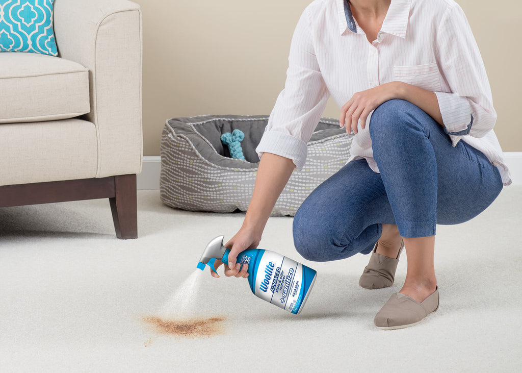 Woolite Advanced Stain Odor Remover Plus Sanitize
                        pretreating heavy stain on carpet
