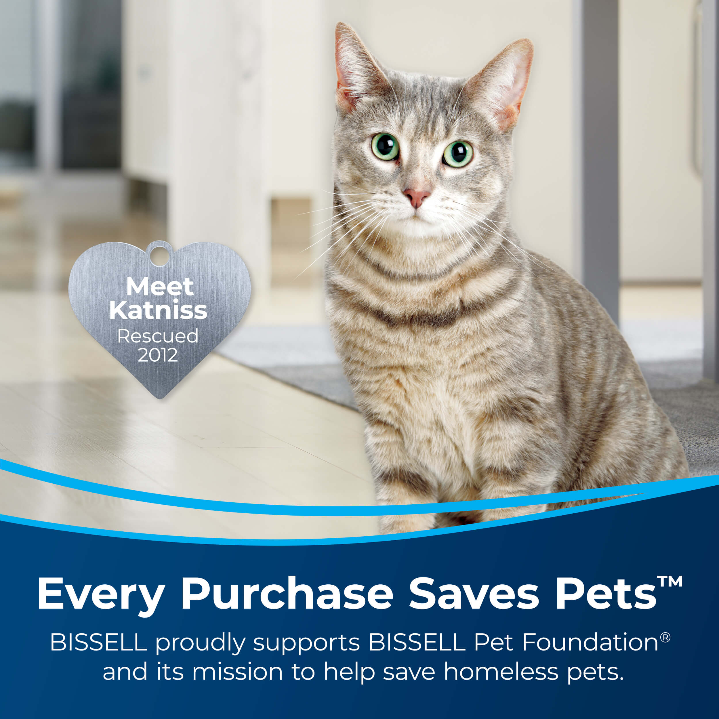 PET PRO OXY Stain Destroyer Formula Trigger Cat with
                        Heart Badge Meet Katniss Rescued 2012. Text: Every Purchase Saves Pets.
                        BISSELL proudly supports BISSELL Pet Foundation and its mission to help save
                        homeless pets.