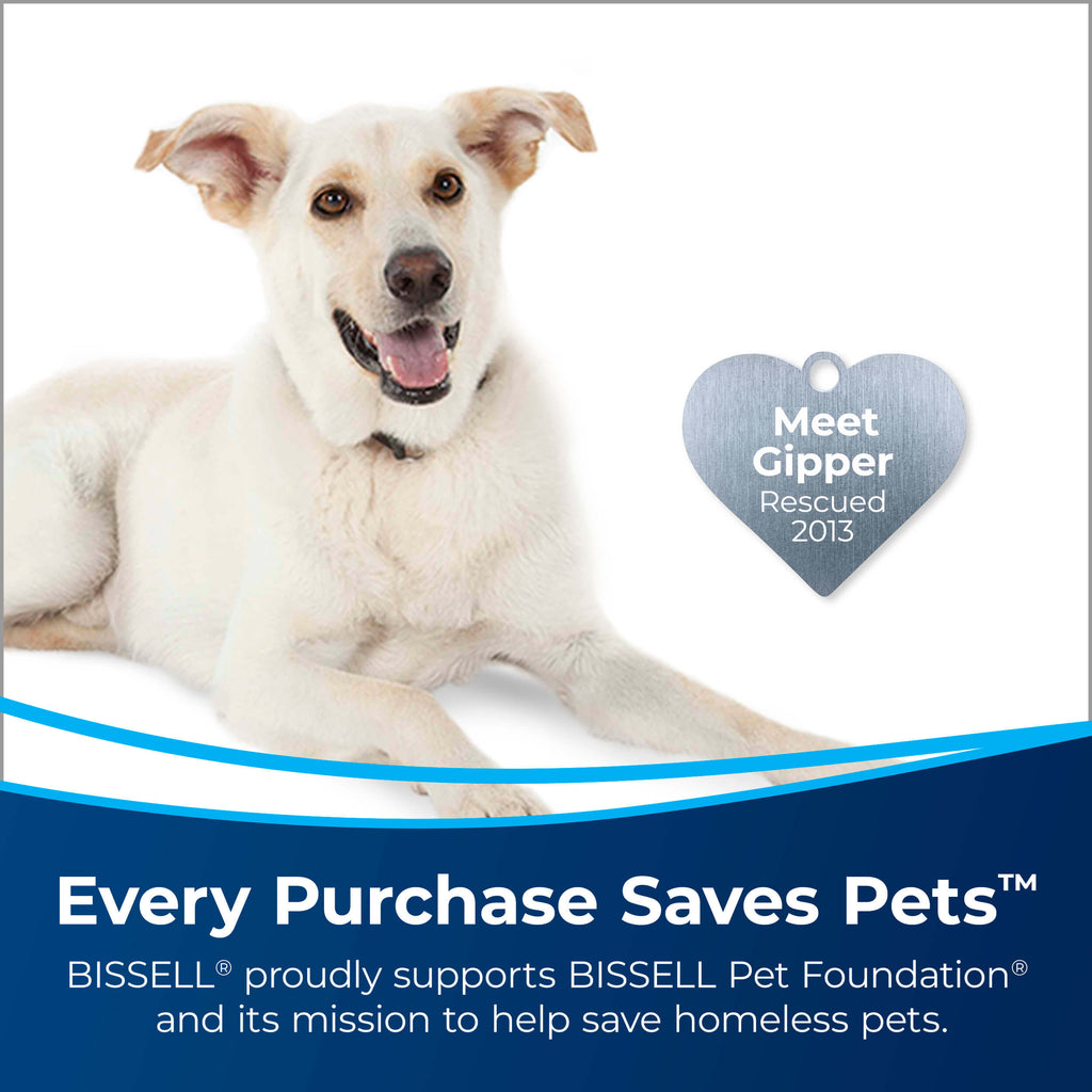 Meet Gipper, Rescued 2013. Every purchase saves pets.
                        BISSELL proudly supports BISSELL Pet Foundation and its mission to help save
                        homeless pets.