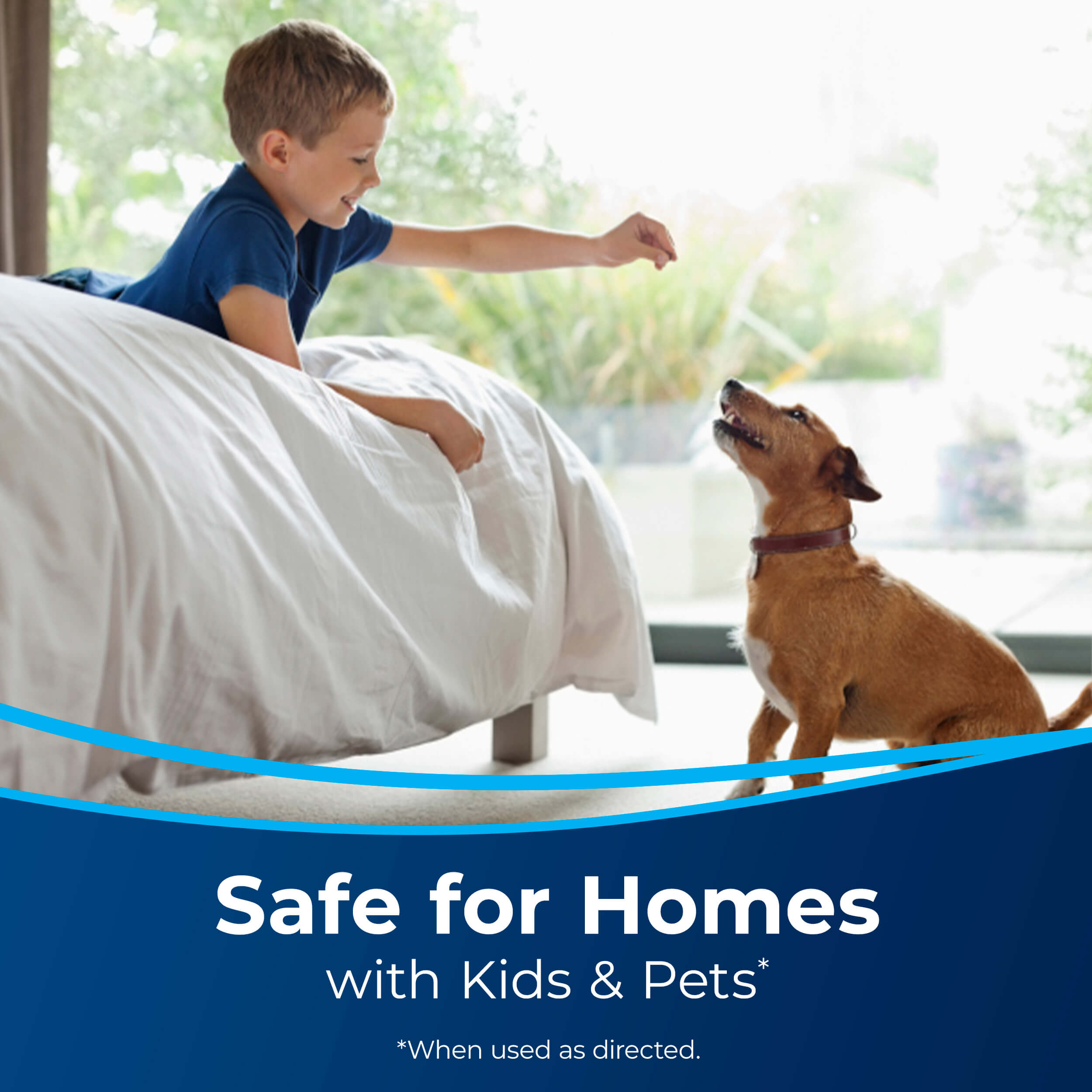 Boy and Dog Playing, Text: Safe for Homes With Kids
                        and Pets, When Used as Directed.