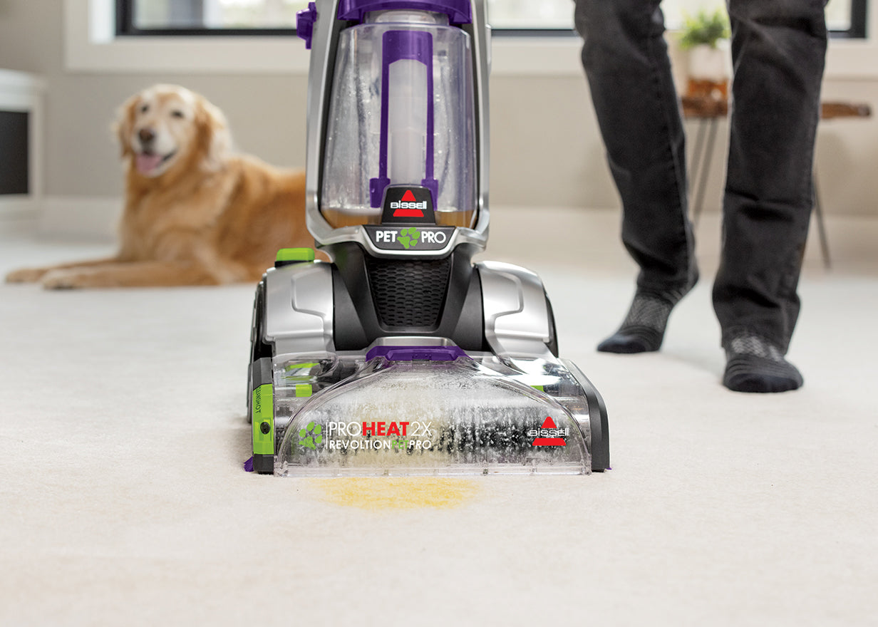ProHeat 2x being used with PET PRO OXY Urine
                        Eliminator
