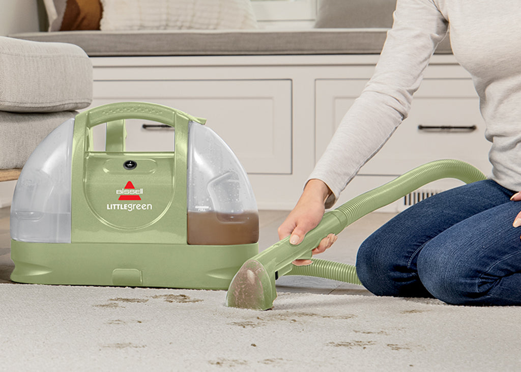Little Green Cleaning Mud from carpet 