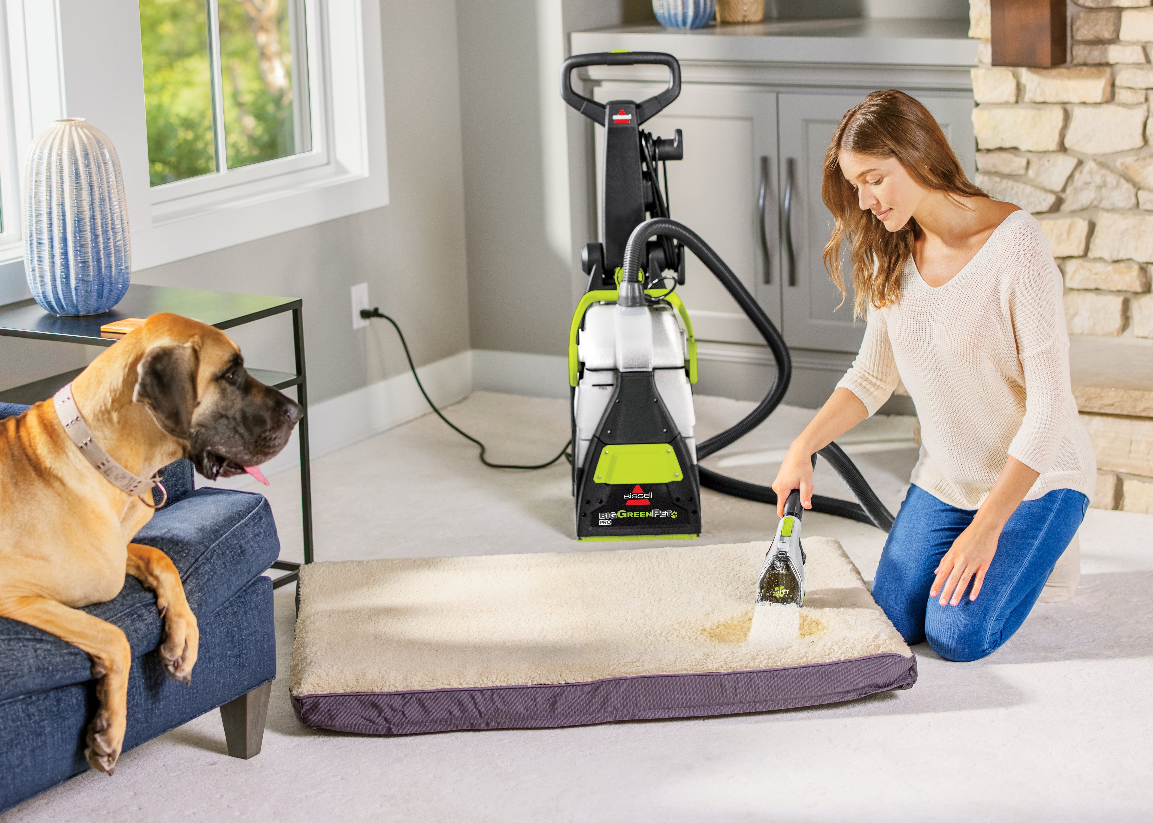 Using Big Green PET PRO Carpet Cleaner Hose to clean pet bed. 