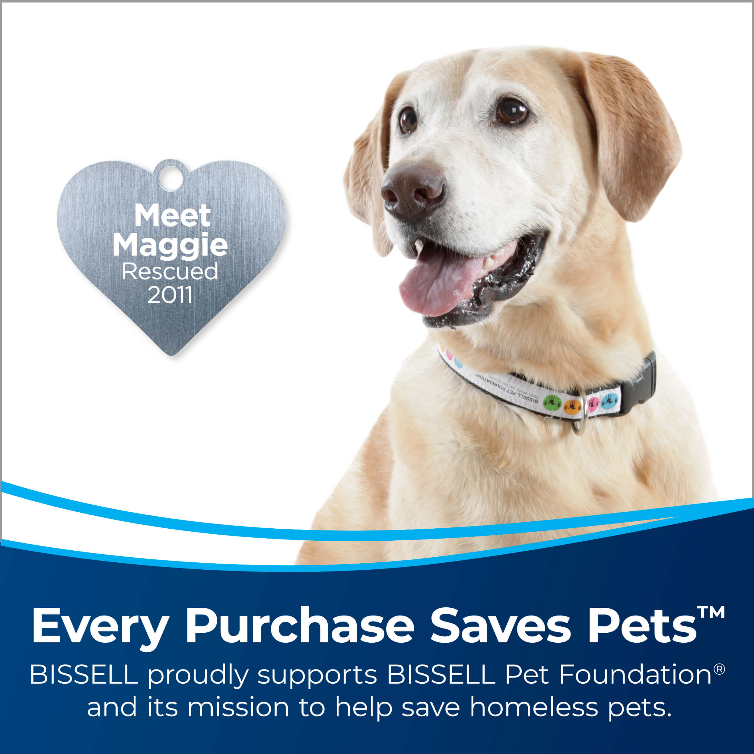 Dog With Heart Badge Meet Maggie Rescued 2011. Text:
                        Every Purchase Saves Pets. BISSELL proudly supports BISSELL Pet Foundation
                        and its mission to help save homeless pets.
