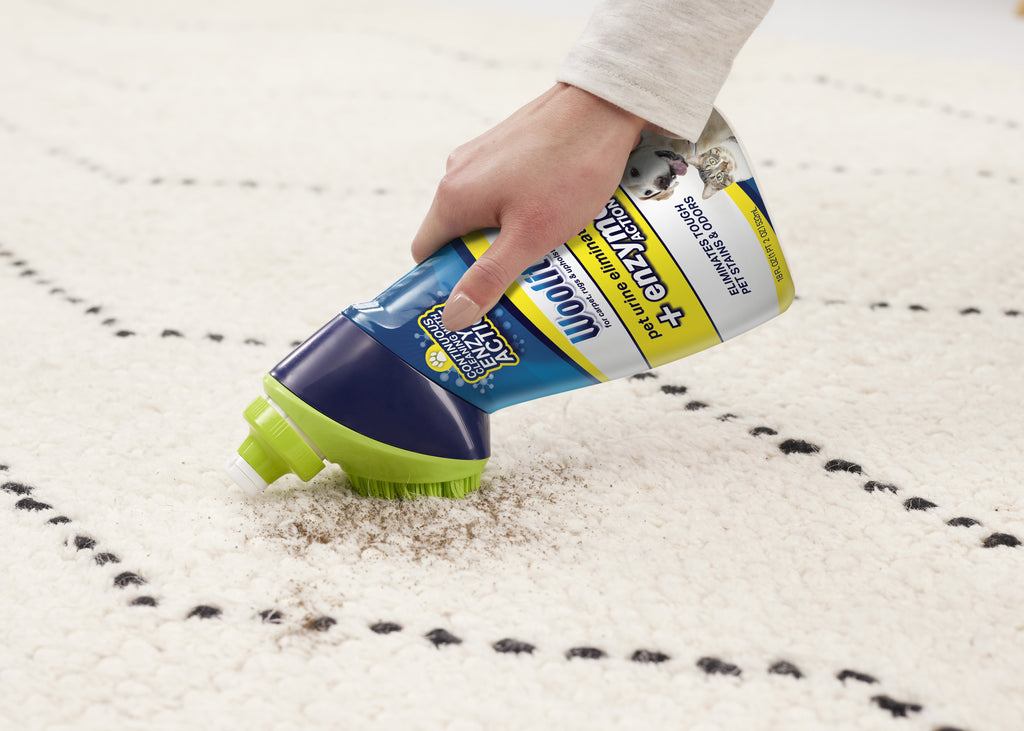 Scrubbing stain on carpet with Woolite Pet Urine
                        Eliminator. 