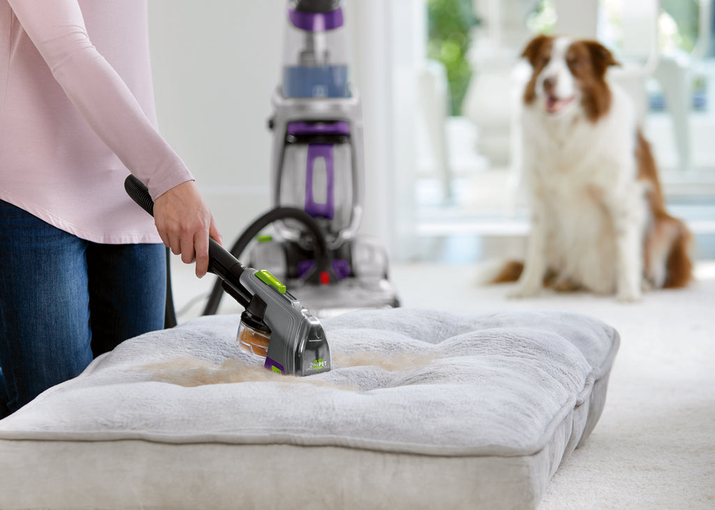 Using hose of upright carpet cleaner with attachment
                        to clean pet bed. 
