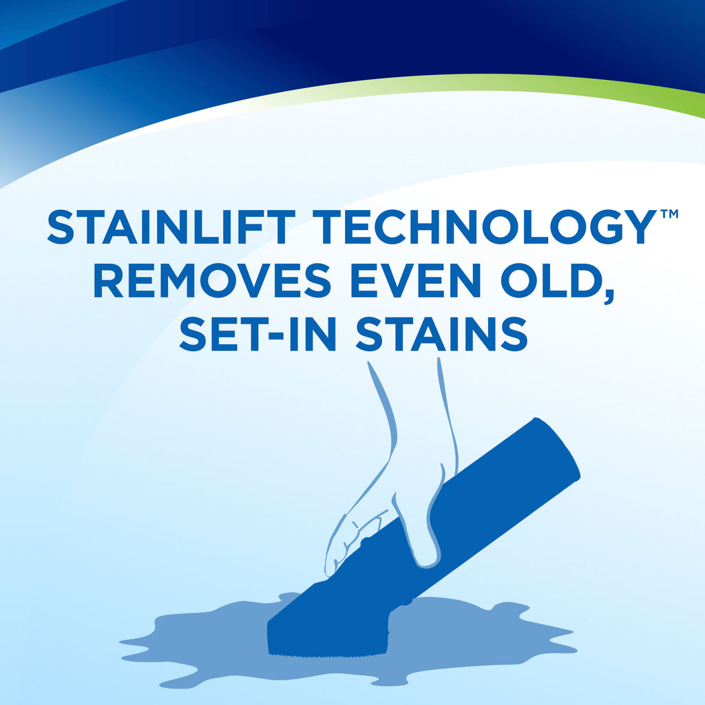 Woolite® Carpet & Upholstery Foam Cleaner
                        Scrubbing Stain. Text: Stainlift Technology Removes Even Old Set-In Stains.