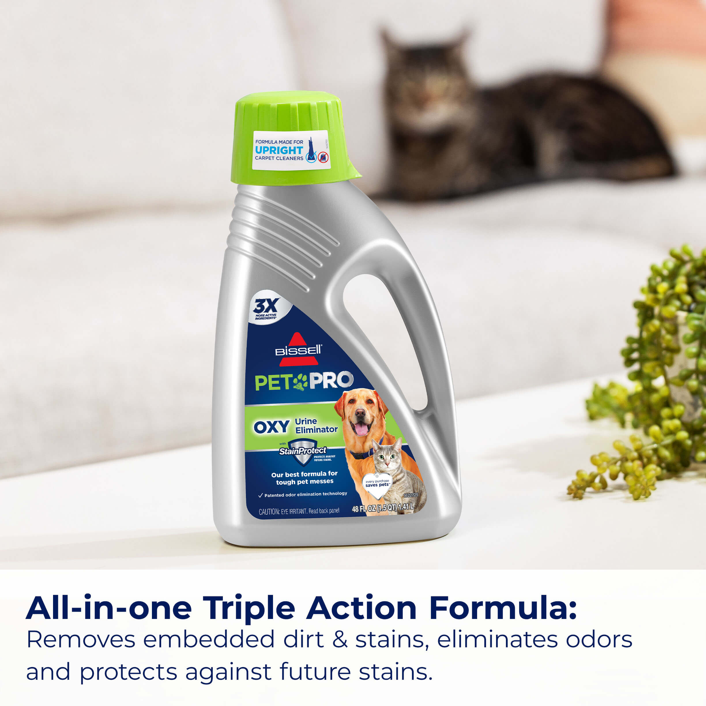 PET PRO OXY Pet Urine Eliminator Formula Bottle on
                        table in front of couch with cat on it. Text: All-in-one Triple Action
                        Formula: Removes embedded dirt & stains, eliminates odors and protects
                        against future stains