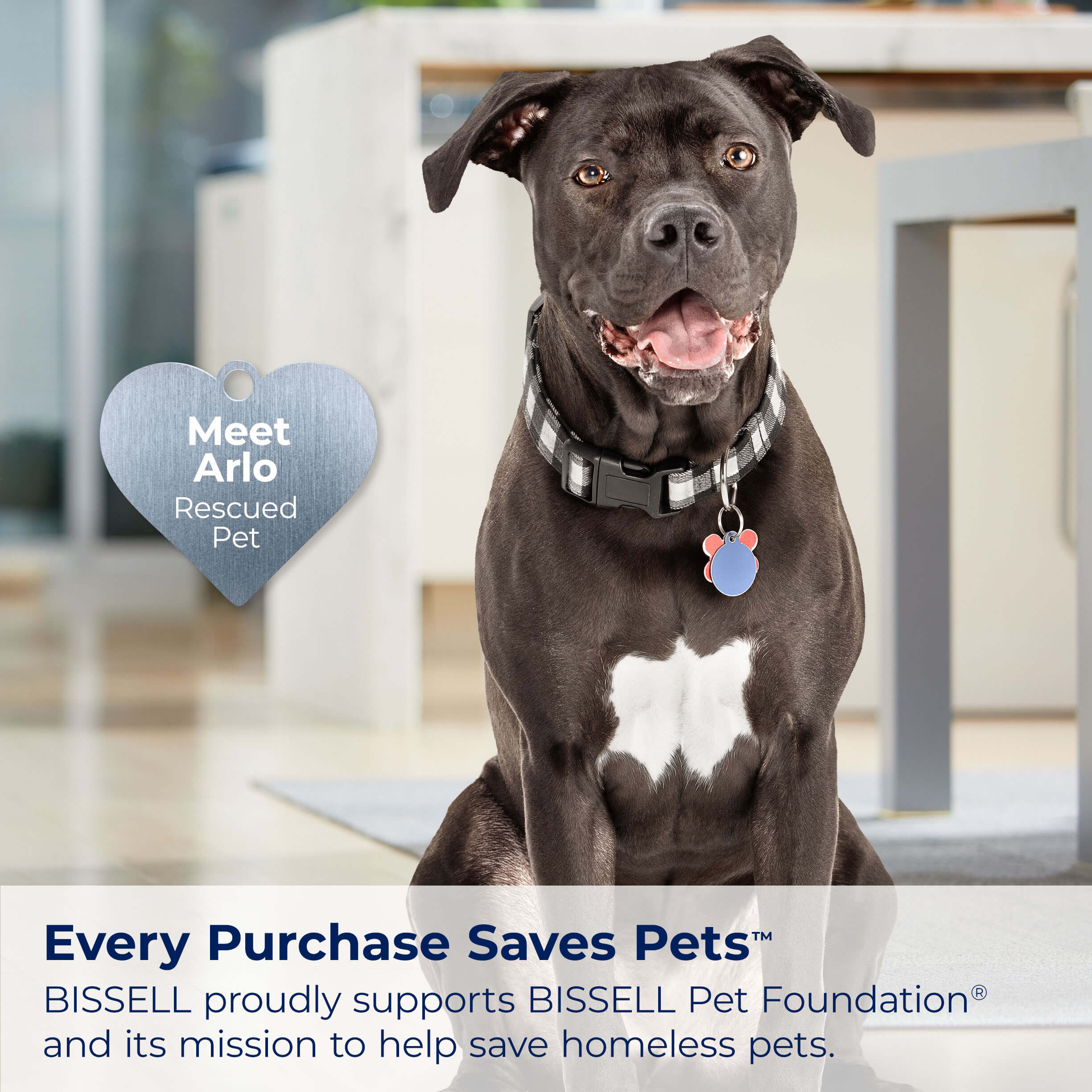 Black Dog with White Chest. Text: Every Purchase Saves
                        Pets. BISSELL Proudly supports BISSELL Pet Foundation and its mission to
                        help save homeless pets