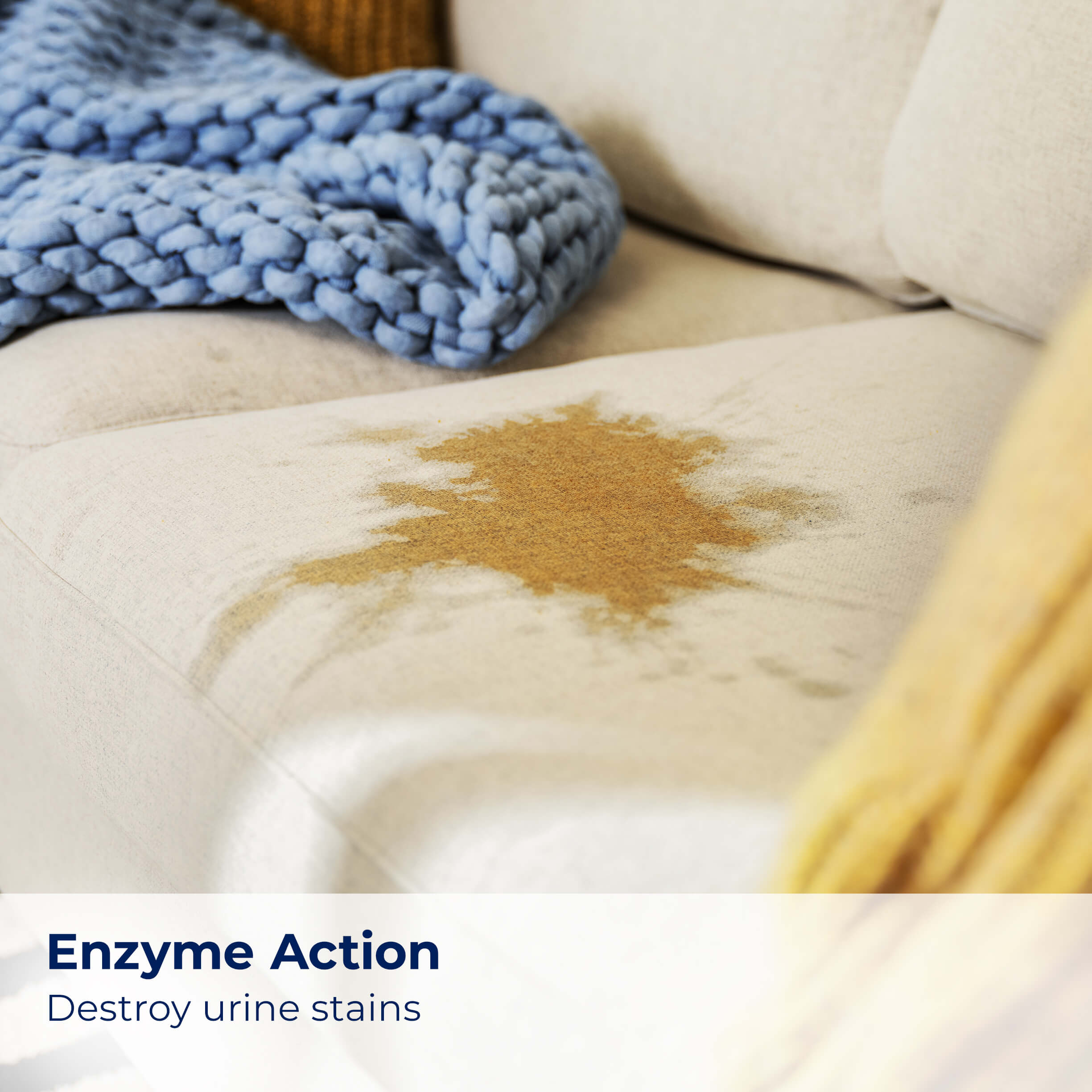 Stain on couch cushion. Text: Enzyme Action Destroy
                        Urine Stains