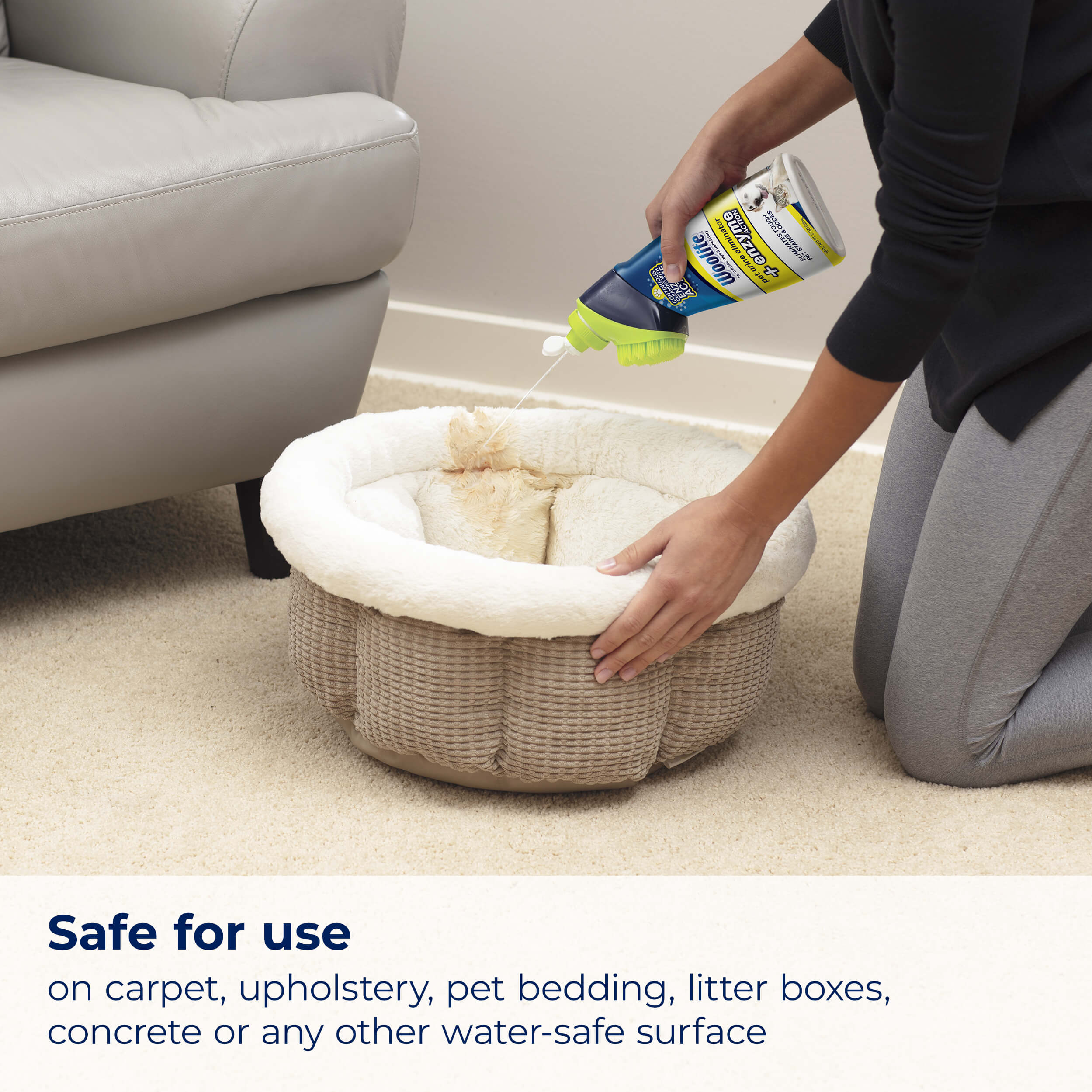 Using Woolite Pet Urine Eliminator Formula to clean
                        pet bed. Text: Safe for use on carpet, upholstery, pet bedding, litter
                        boxes, concrete, or any water-safe surface.
