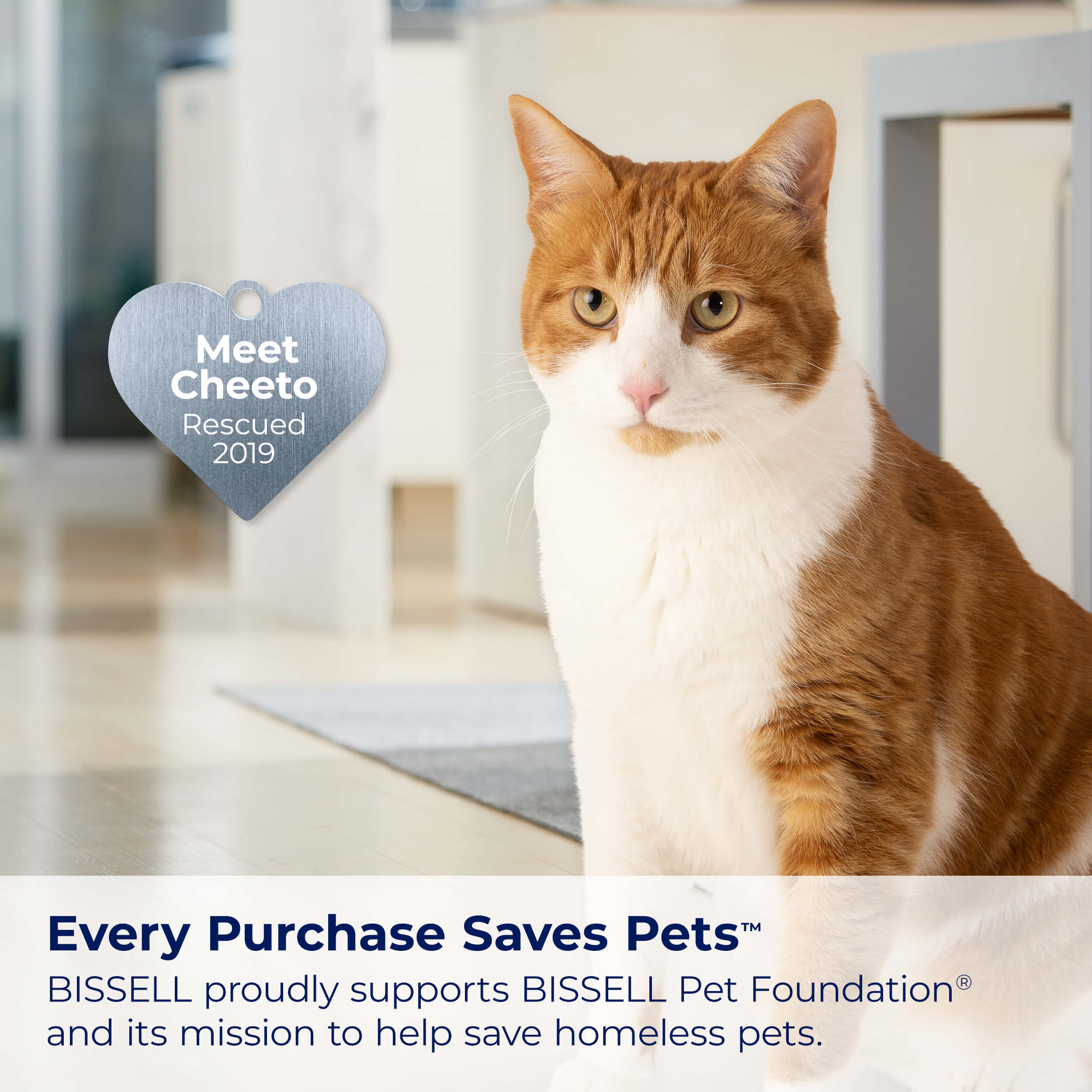 Cat with heart badge Meet Cheeto Rescued 2019. Text:
                        Every Purchase Saves Pets. BISSELL proudly supports BISSELL Pet Foundation
                        and its mission to help save homeless pets.