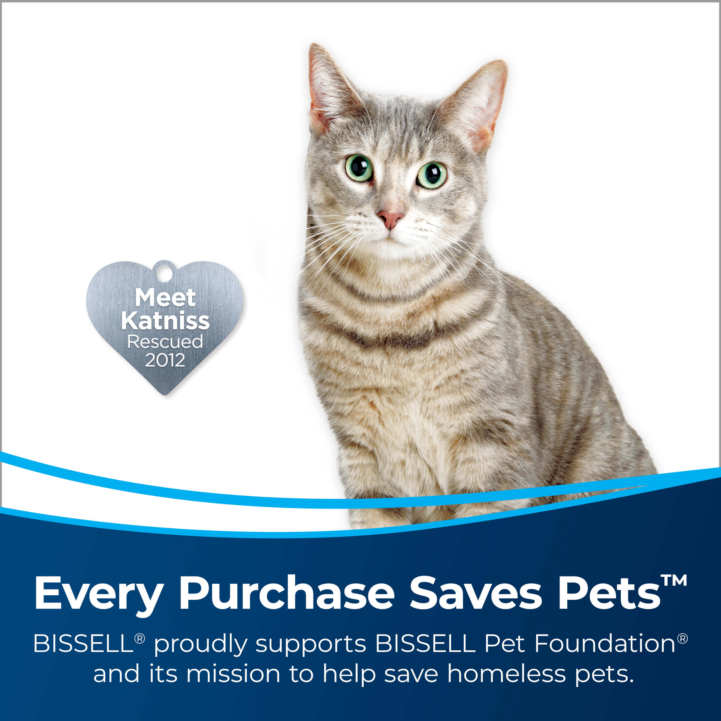 Katniss Rescued in 2012. Text: Every Purchase Saves
                        Pets. BISSELL proudly supports BISSELL Pet Foundation and its mission to
                        help save homeless pets.