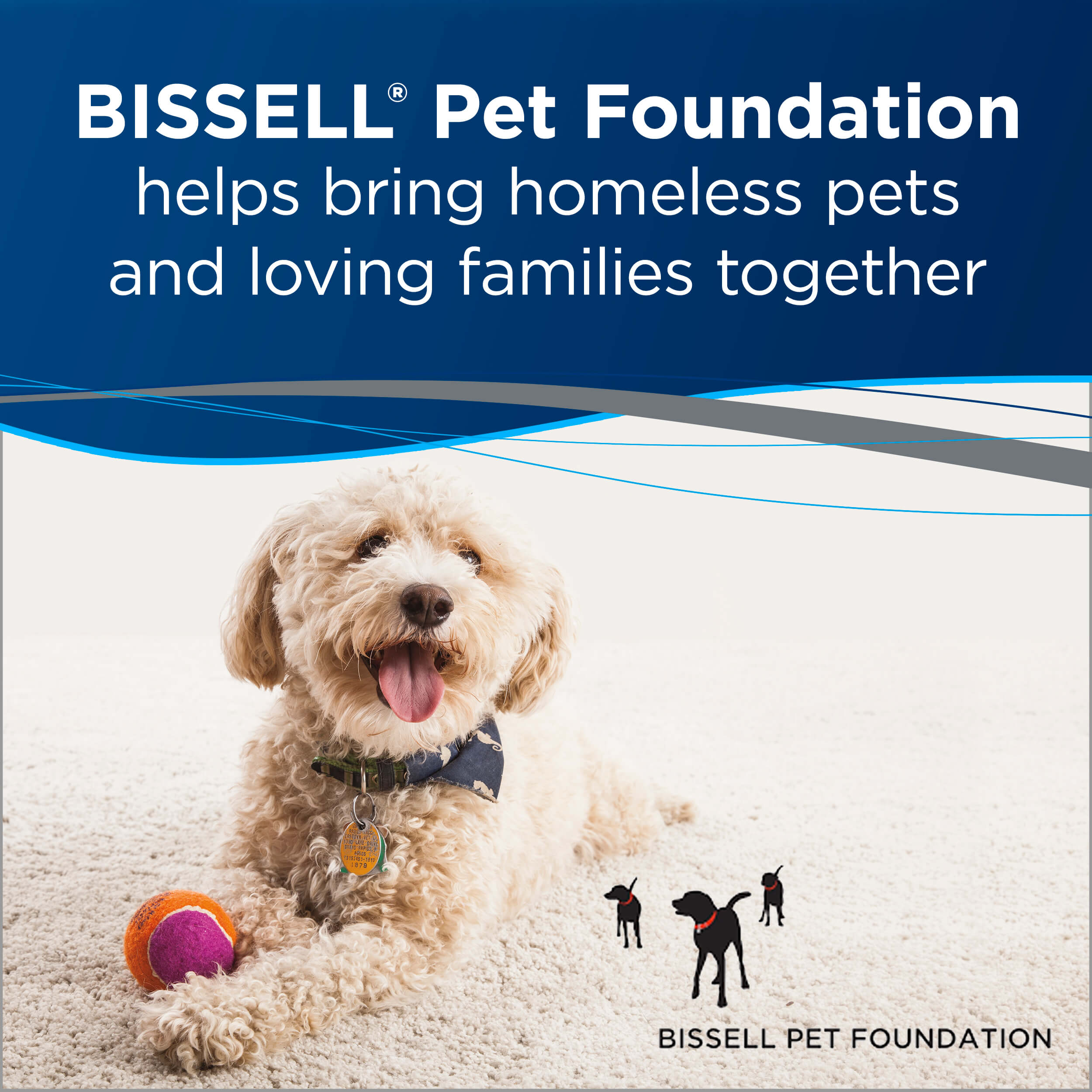 Dog with ball Text: BISSELL PET FOUNDATION Helps Bring
                        Homeless Pets and Loving Families Together