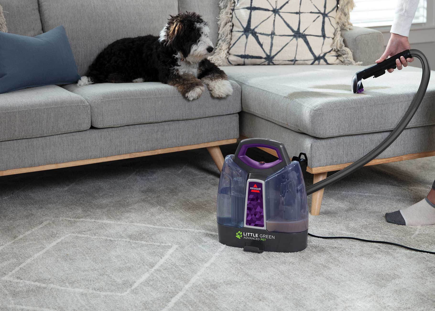 Cleaning stain from couch upholstery
