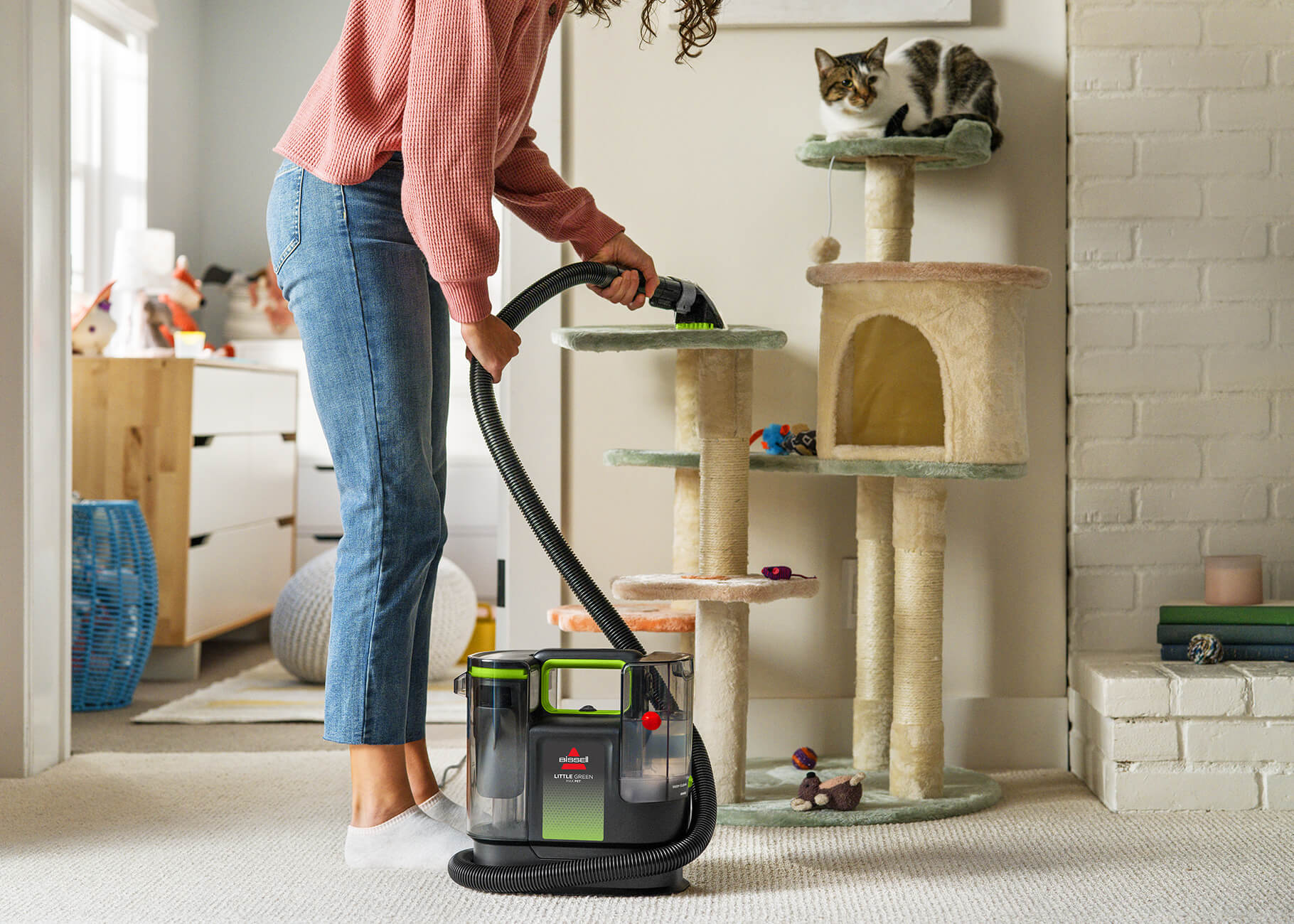 Using Little Green Max Pet to deep clean cat house