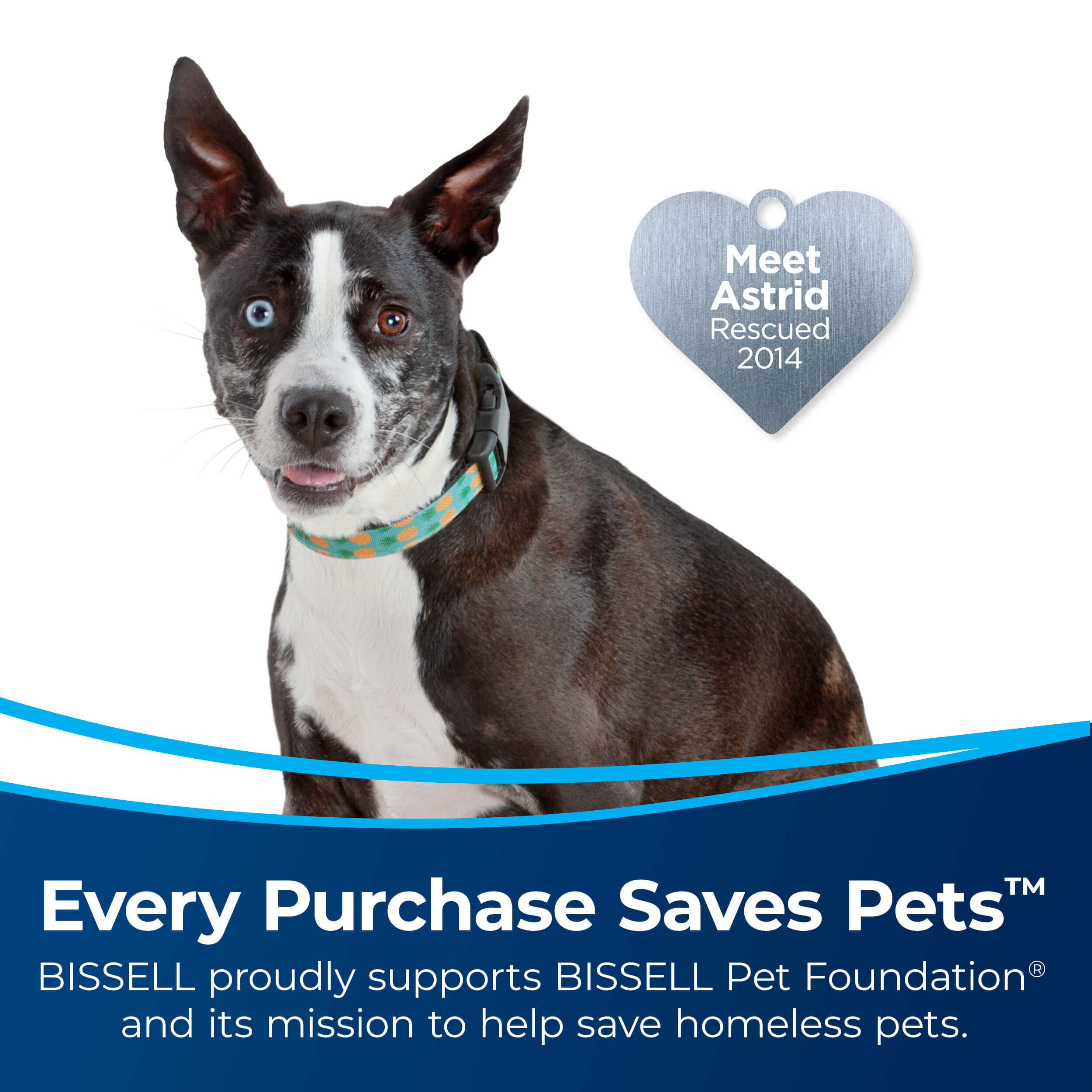 Pet Hair Eraser Turbo Rewind Dog with heart badge Meet
                        Astrid Rescued 2014. Text: Every Purchase Saves Pets BISSELL proudly
                        supports BISSELL Pet Foundation and its mission to help save homeless pets.