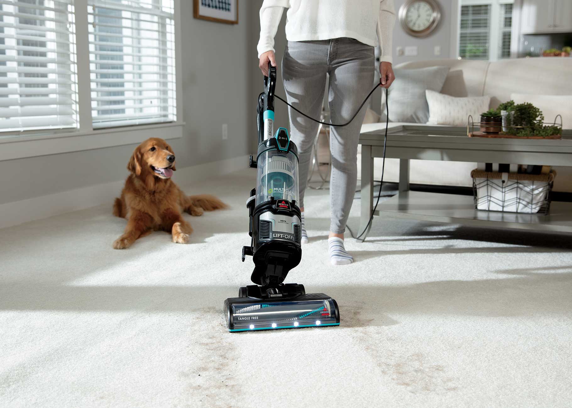 Using MultiClean Allergen Lift Off Pet Vacuum Cleaner to vacuum pet hair from carpet