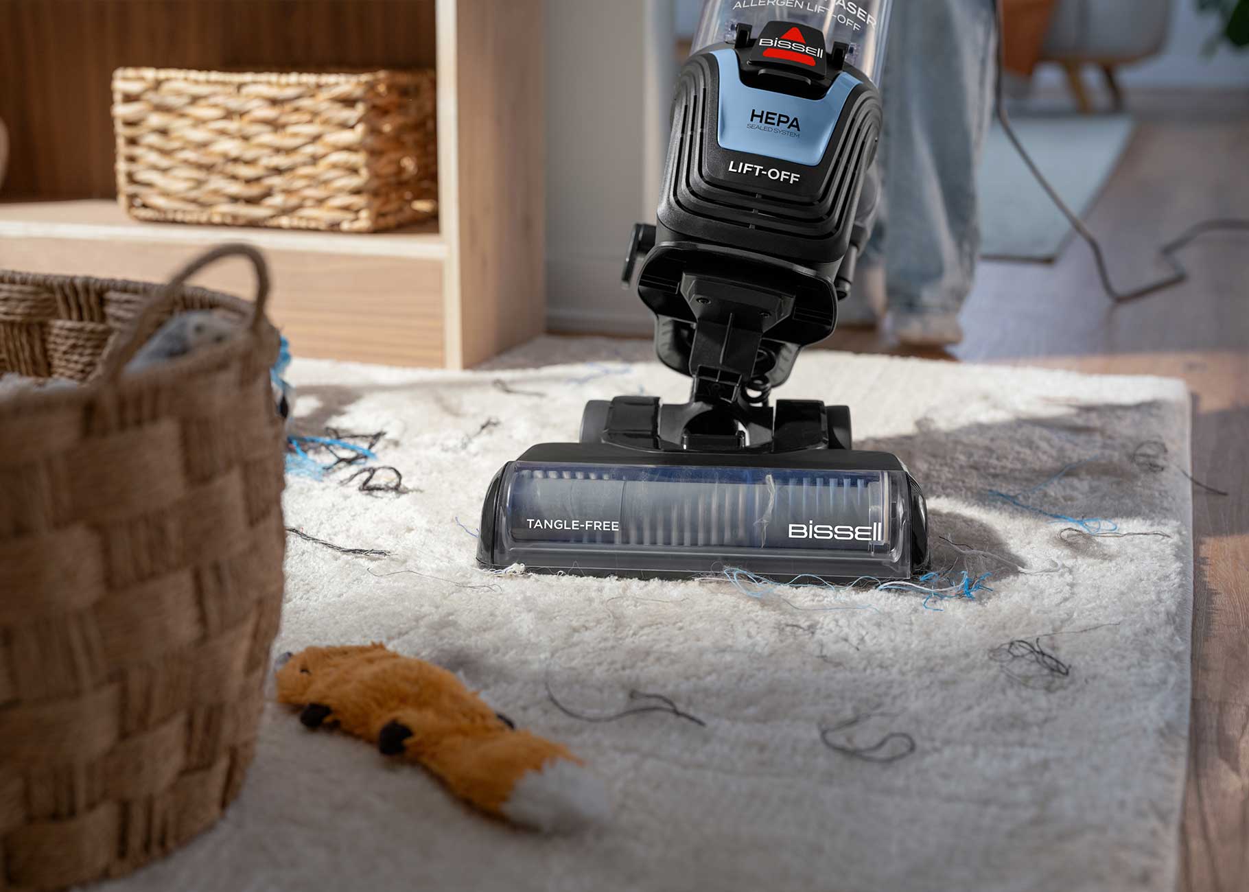 Vacuuming pet hair from carpet