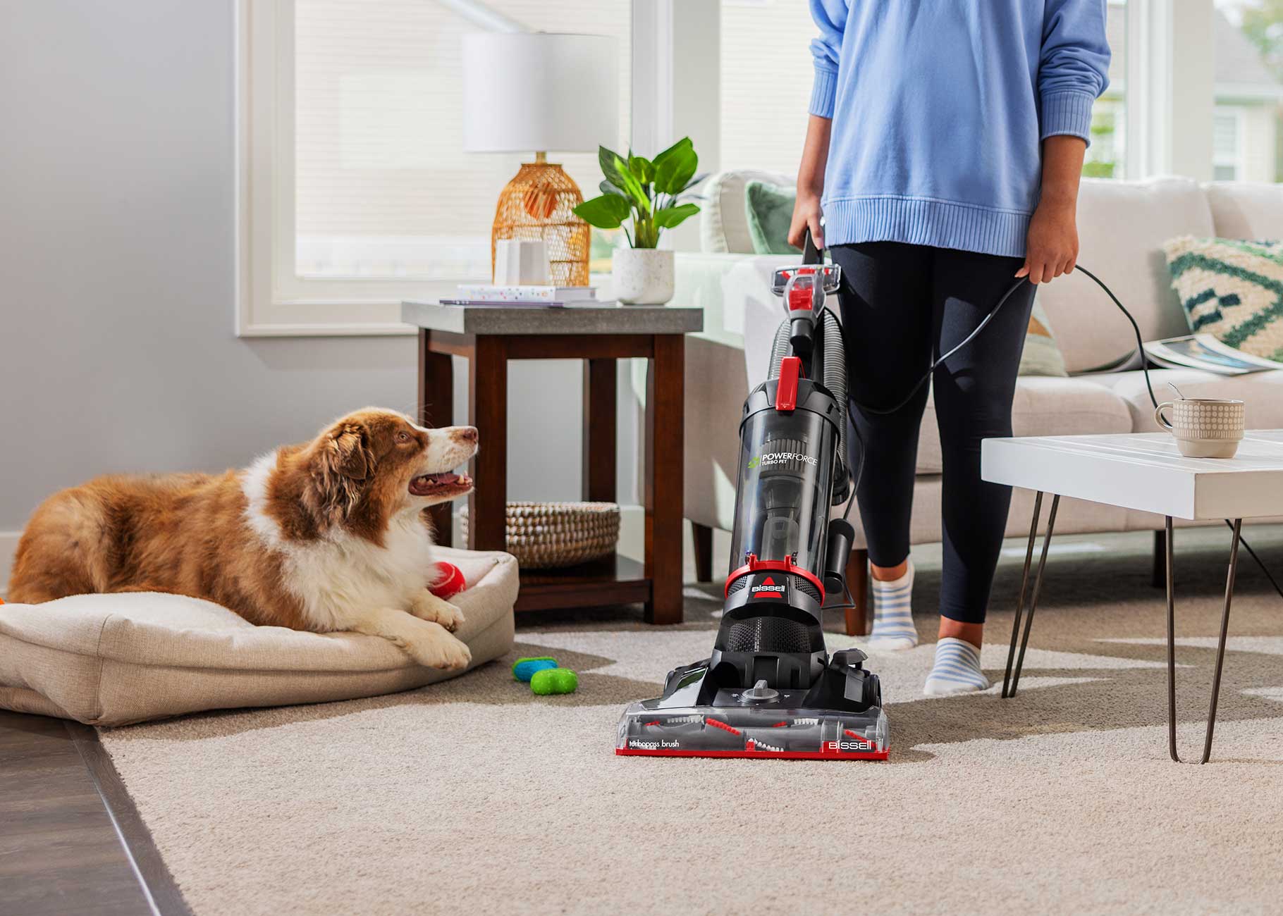 Vacuuming Area Rug