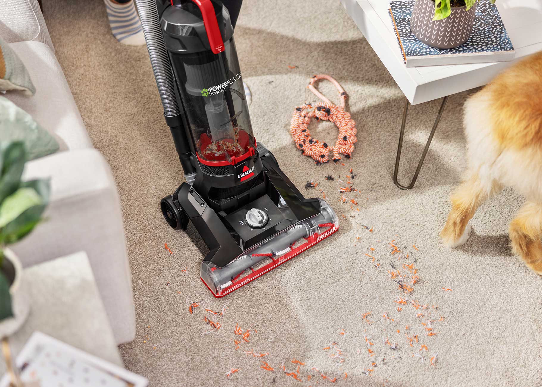 Vacuuming debris from carpet