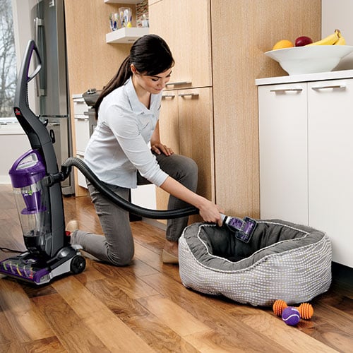 Pet Turbo Eraser Tool 1604116 cleaning a pet bed