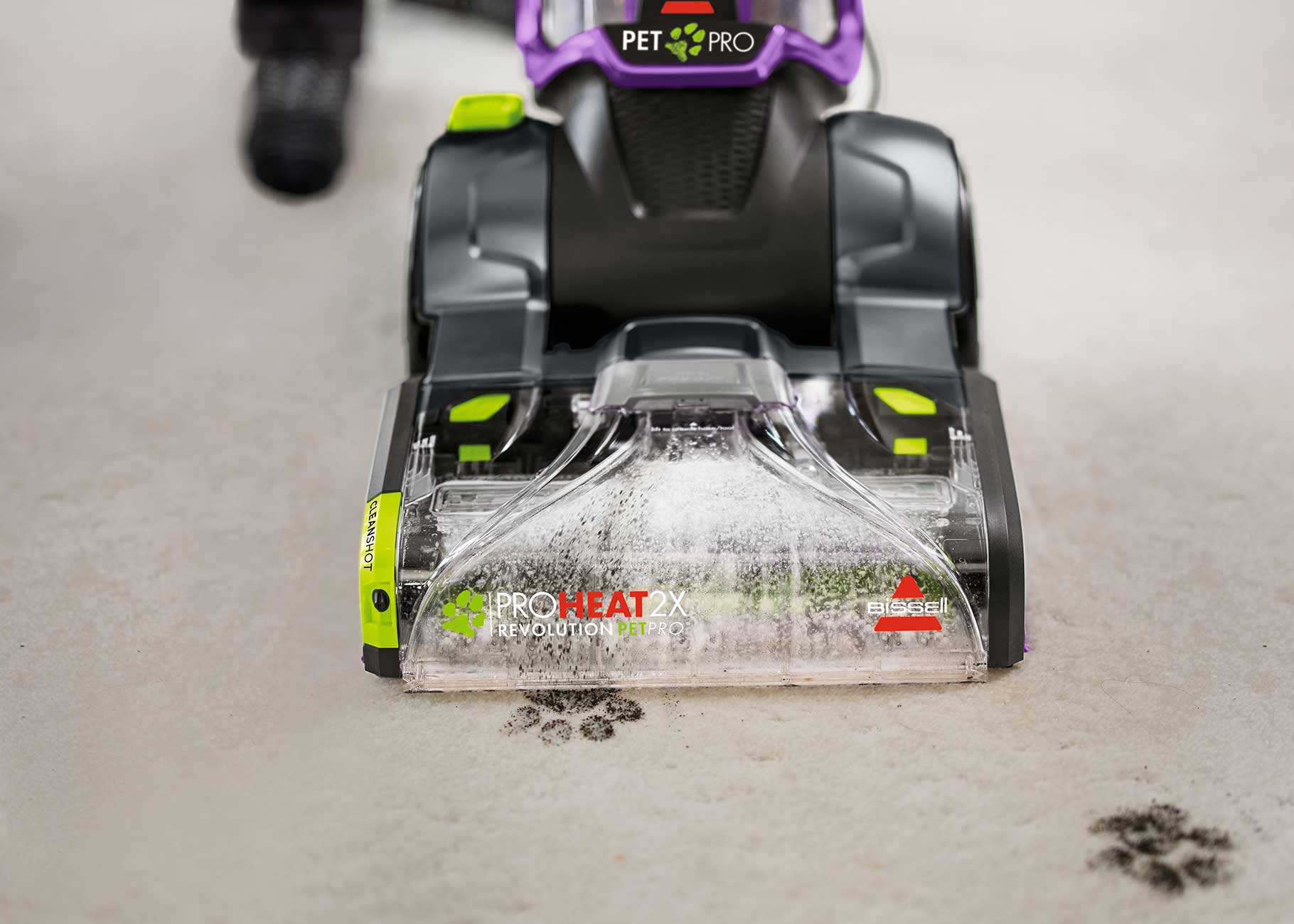 Deep cleaning muddy paw prints