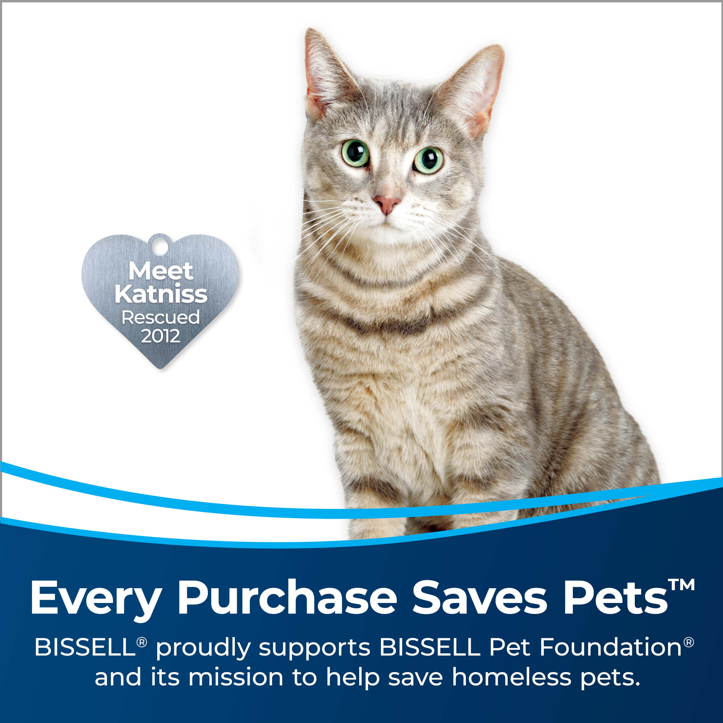 ReadyClean Cordless Stick Vac Cat with Heart Badge
                        Meet Katniss Rescued 2012. Text: Every Purchase Saves Pets. BISSELL proudly
                        supports BISSELL Pet Foundation and its mission to help save homeless pets.