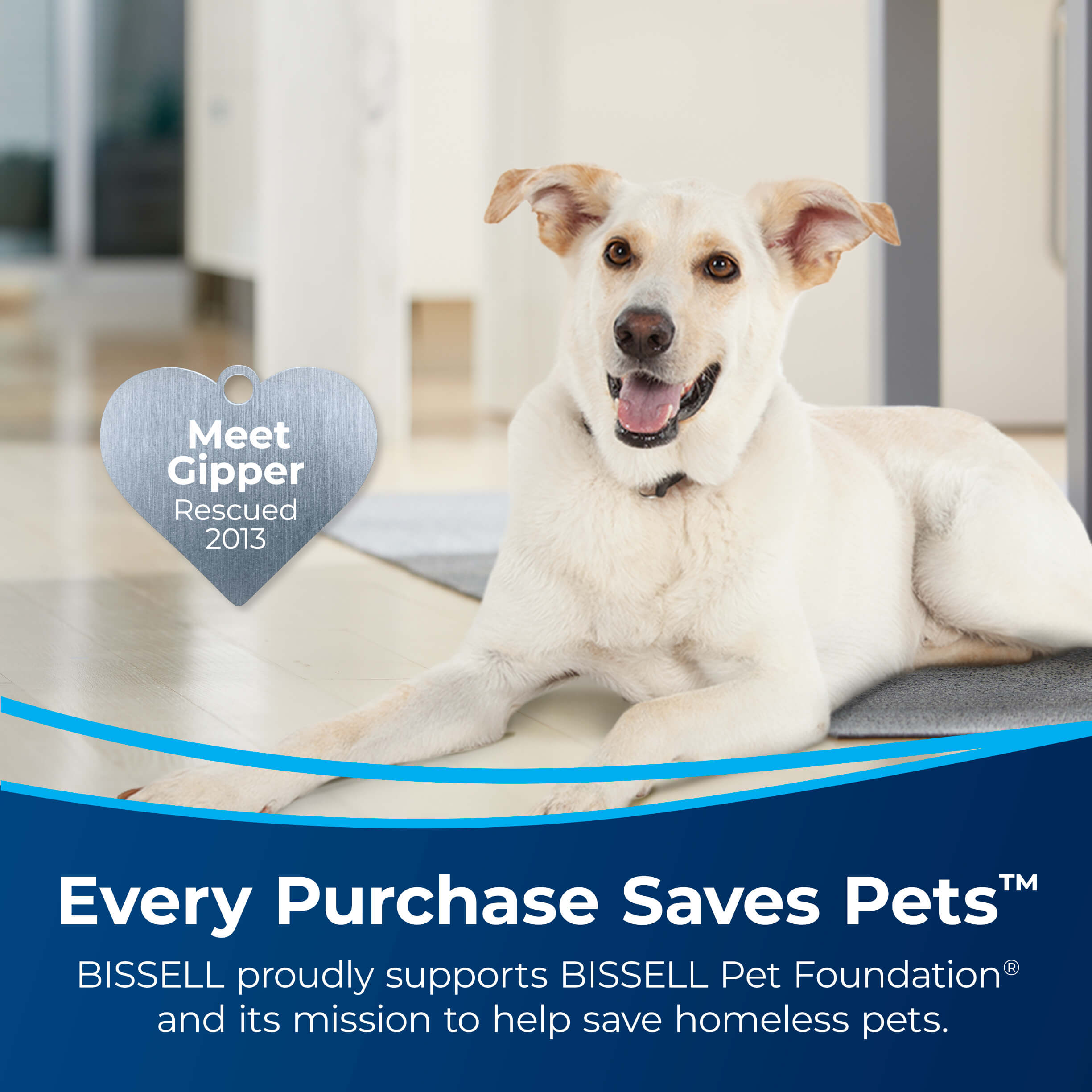 Dog with Heart Badge Meet Gipper Rescued 2013. Text:
                        Every Purchase Saves Pets. BISSELL proudly supports BISSELL Pet Foundation
                        and its mission to help save homeless pets