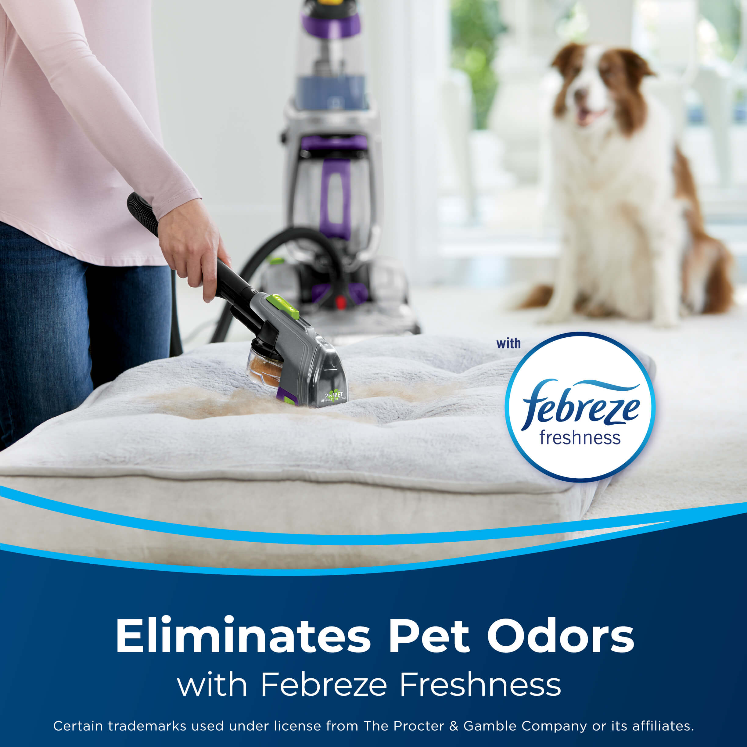 Using hose of upright carpet cleaner with attachment
                        to clean pet bed. Text: Eliminates Pet Odors with Febreze Freshness