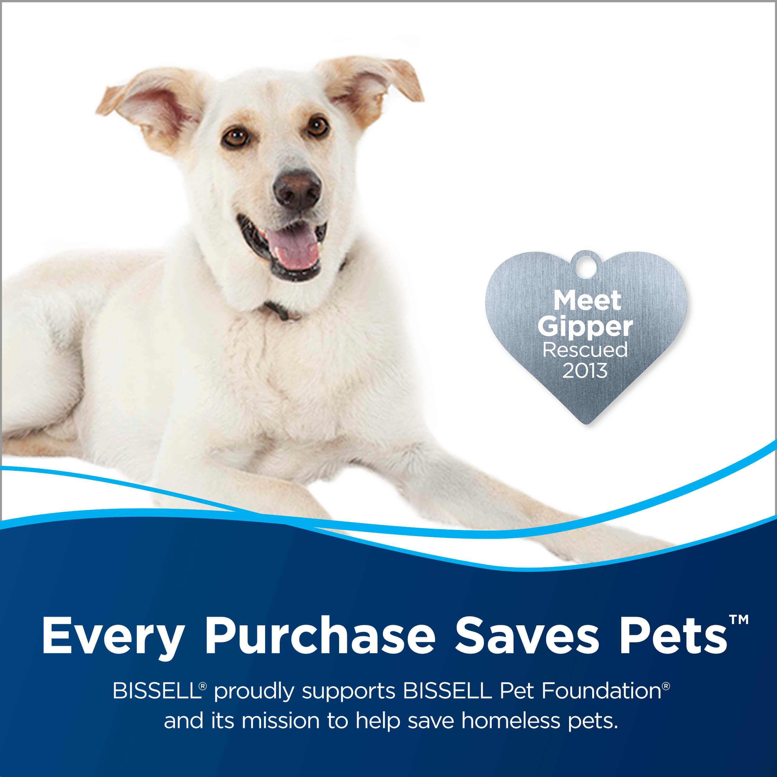 Dog with Heart Badge. Meet Gipper Rescued 2013. Text:
                        Every Purchase Saves Pets. BISSELL proudly supports BISSELL Pet Foundation
                        and its mission to help save homeless pets.