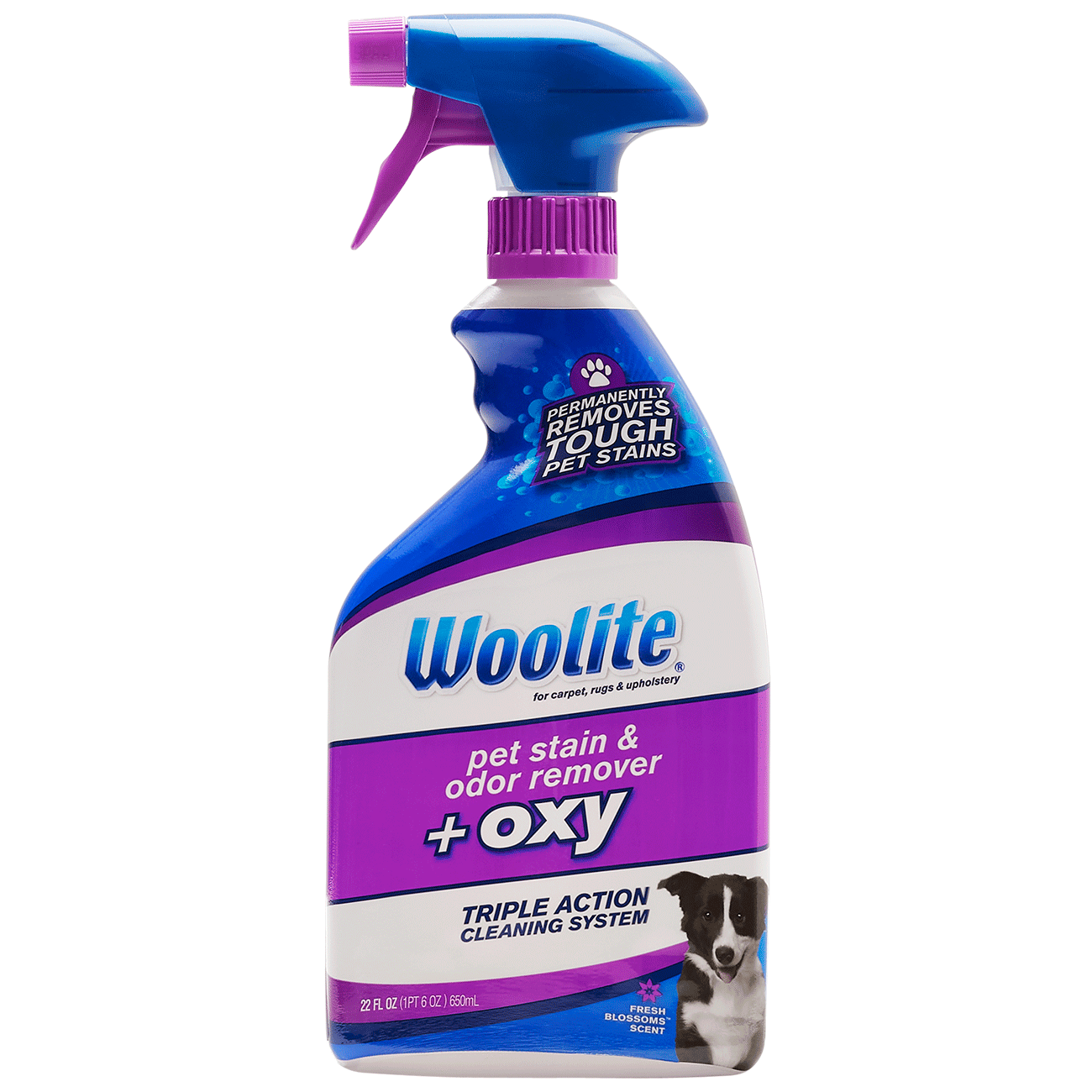 Woolite® Carpet Pet Stain & Odor + Oxy Spray
                        bottle