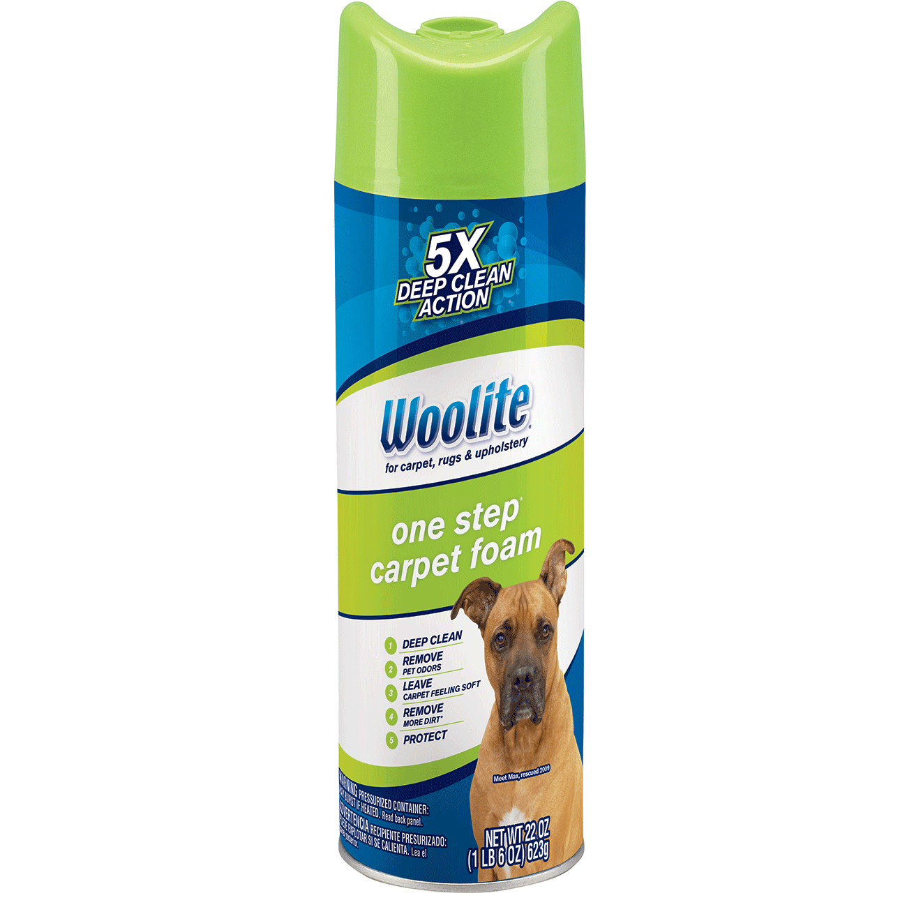 Woolite One Step