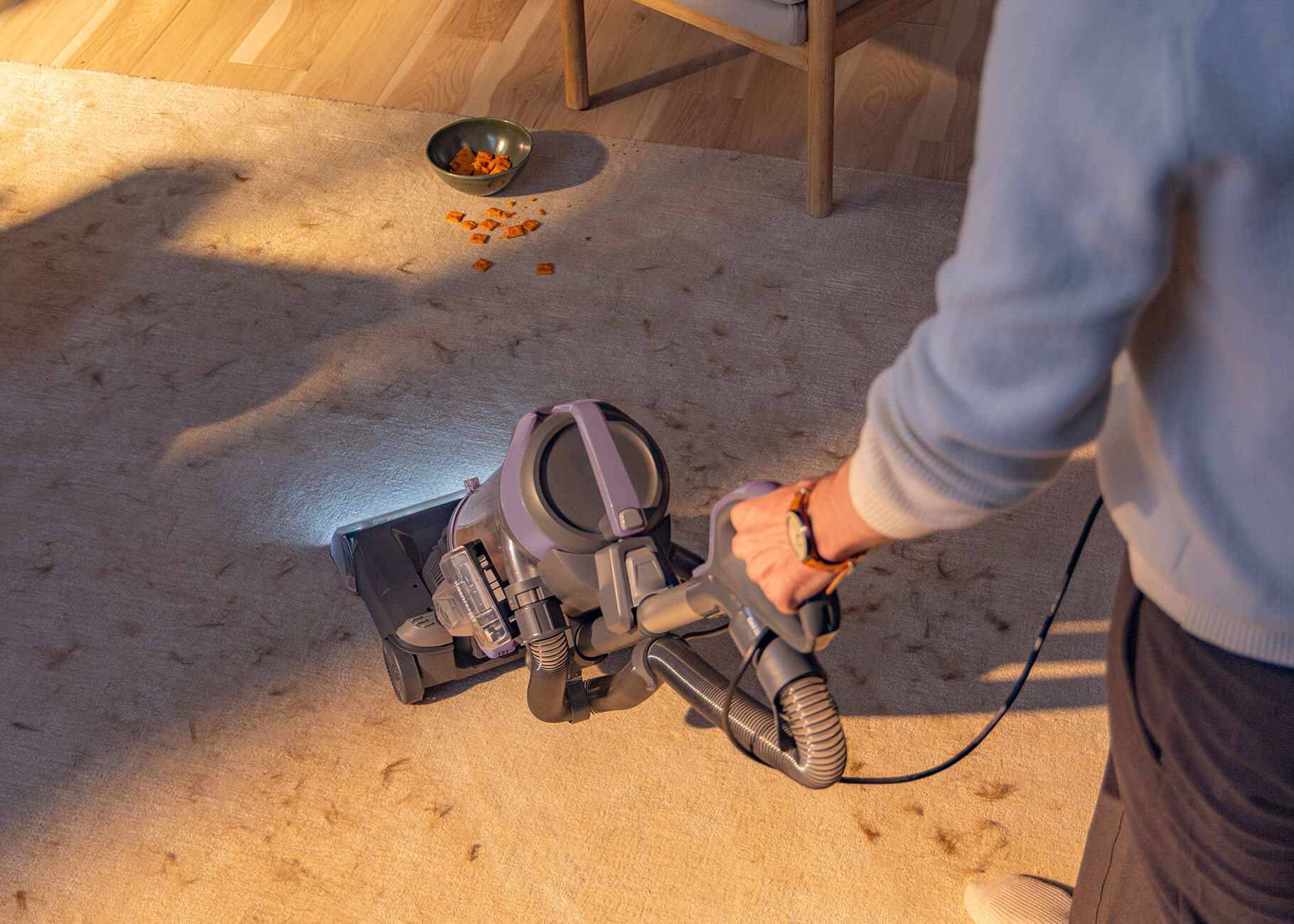 Vacuuming hair and fur on carpet
