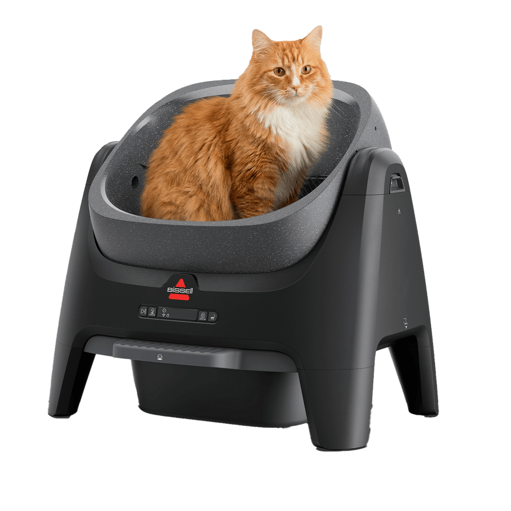 CleanWell automatic cat litter box