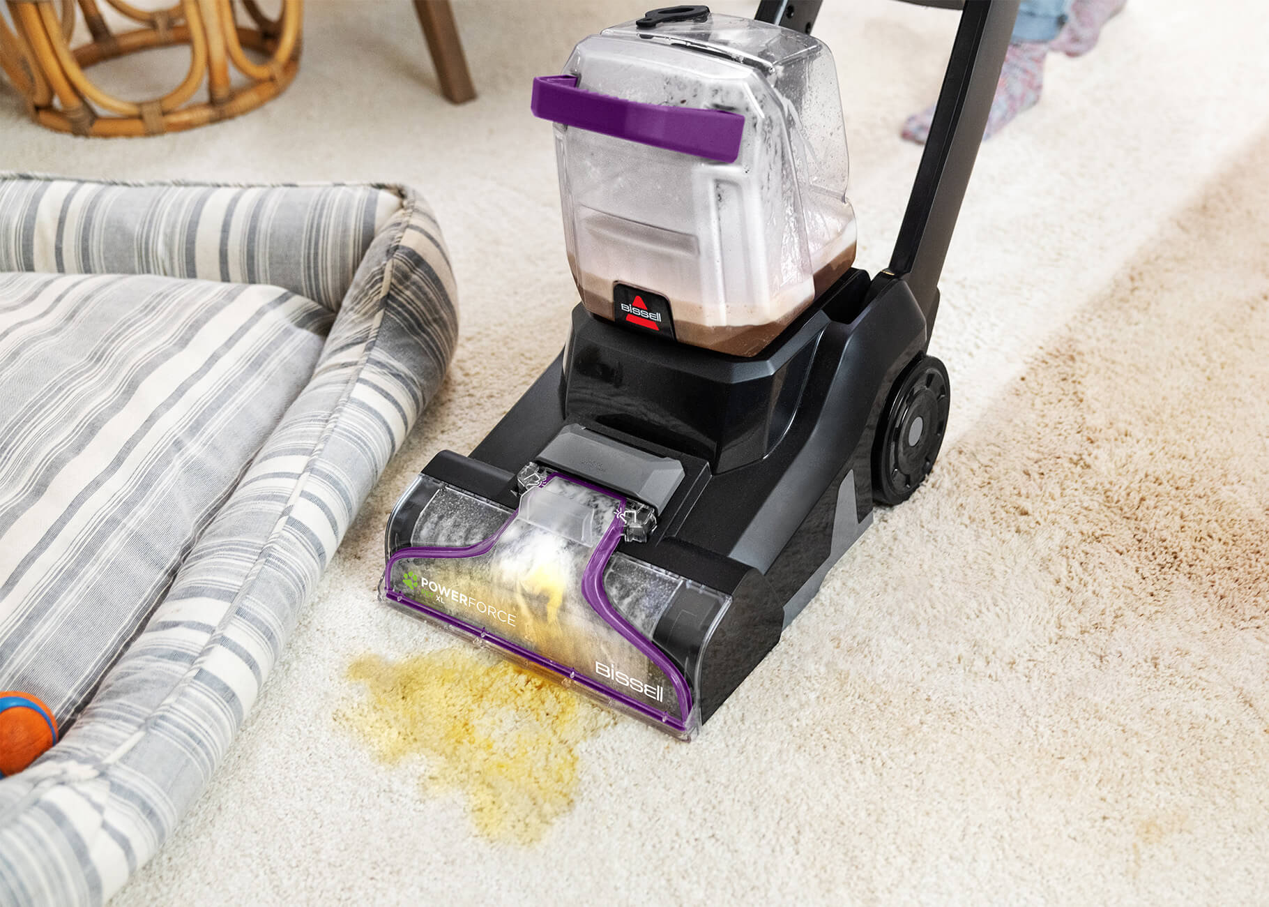 Deep Cleaning spill on carpet