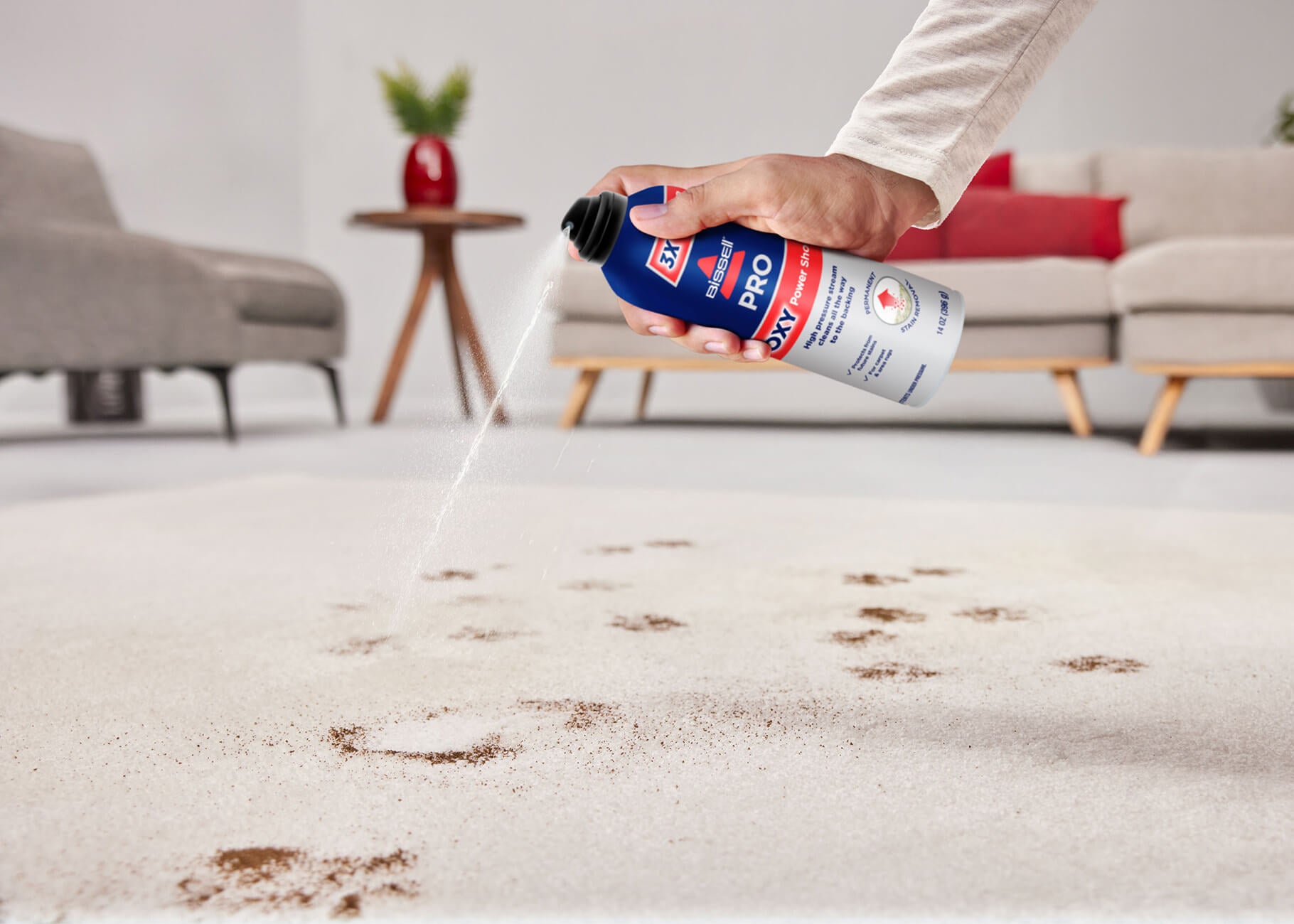 Spraying muddy paw prints on carpet